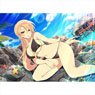 [Shinovi Master Senran Kagura New Link] B2 Tapestry (Soji/Swimwear) (Anime Toy)
