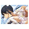 Sword Art Online Single Clear File B (Anime Toy)