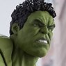 S.H.Figuarts Hulk -(Battle Damage) Edition- (Avengers) (Completed)