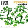 Paper Plants - Monstera (Material)