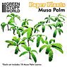 Paper Plants - Musa Trees (Material)