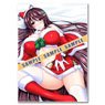 Unionism Quartet B2 Tapestry Minamo Santa Re: 2019 Winter (Santa) (Anime Toy)