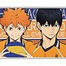 Acrylic Coaster Haikyu!! To The Top (Set of 11) (Anime Toy)