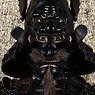 Series of Empires The Black Fish Two Piece Armor Legendary Version (Fashion Doll)