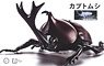 Biology Edition Beetle (Clear) (Plastic model)