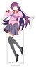 Owari Monogatari [Especially Illustrated] Hitagi Senjogahara Acrylic Stand (Anime Toy)