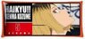 Multi Clear Case L Size Haikyu!! To The Top 04 Kenma Kozume MCCL (Anime Toy)