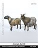 動物セット39 山羊の番い (プラモデル)