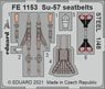 Su-57 Seatbelts Steel (for Zvezda) (Plastic model)