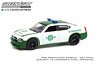 2006 Dodge Charger Police - Carabineros de Chile - White and Green (Diecast Car)