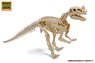 Excavate Dinosaur Fossil Ceratosaurus (Plastic model)