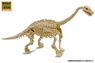 Excavate Dinosaur Fossil Diplodocus (Plastic model)