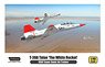 T-38A Talon `The White Rocket` (Plastic model)