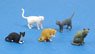 Cats (Set of 5) (Plastic model)