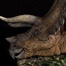 Jurassic Series 1/35 Dinosaur Statue Triceratops Sick Ver. (Completed)