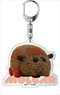 Pui Pui Molcar Acrylic Key Ring Teddy (Anime Toy)