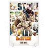 Dr.STONE STONE WARS アクリルビジュアルボード TypeB (キャラクターグッズ)