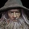 The Lord of the Rings 1/6 Crown Series Gandalf the Grey (Fashion Doll)