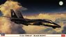 F-14A トムキャット `ブラックバニー` (プラモデル)