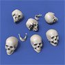 Skulls (75mm) (6 Pieces) (Plastic model)