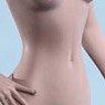 Super Flexible Female Seamless Body with Stainless Steel Skeleton Suntan/Small Breasts S45A (Fashion Doll)