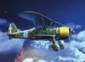 WWII Italian Fighter Bomber Cr.42CN Night Fighter (Plastic model)