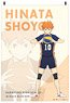 Haikyu!! Fabric Poster Shoyo Hinata (Anime Toy)