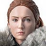 Sansa Stark (Season 8) (サンサ・スターク (シーズン8)) (完成品)