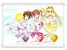 Magical Girl Lyrical Nanoha Detonation B1 Tapestry Nanoha & Fate& Hayate Cocktail Ver. (Anime Toy)