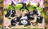 Jujutsu Kaisen Folding Screen Style Colored Paper (Cherry-blossom Viewing) (Anime Toy)