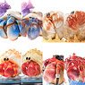 Kongzoo Hermit Crab Series (Set of 8) (Completed)