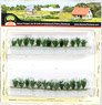 95669 (HO) Cow Parsley (26 Pieces) (Model Train)