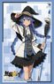 Bushiroad Sleeve Collection HG Vol.2928 Mushoku Tensei: Jobless Reincarnation [Roxy Migurdia] (Card Sleeve)