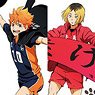 Haikyu!! Charabae Clear File Collection A (Set of 10) (Anime Toy)