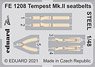 Tempest Mk.II Seatbelts Steel (for Eduard/Special Hobby) (Plastic model)