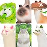 Dodowo Vegetable Fairy Series Vol.1 (Set of 6) (Completed)