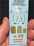 Ejection Seat Set - F-104 Starfighter C1. (Decal)