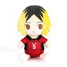 [Haikyu!! To The Top] Kimi to Friends (Plush) Kozume (Anime Toy)