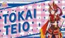 Bushiroad Rubber Mat Collection V2 Vol.108 TV Animation [Uma Musume Pretty Derby Season 2] Tokai Teio (Card Supplies)