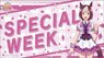 Bushiroad Rubber Mat Collection V2 Vol.110 TV Animation [Uma Musume Pretty Derby Season 2] Special Week (Card Supplies)