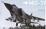 MiG-31 フォックスハウンド (プラモデル)