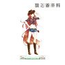 Spice and Wolf Jyuu Ayakura [Especially Illustrated] Holo Western Girl Ver. Big Acrylic Stand (Anime Toy)