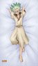Dr. Stone [Especially Illustrated] Senku Ishigami Co-sleeping Bed Sheet (Anime Toy)