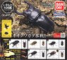 Stag beetle 3 (Toy)