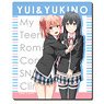 [My Teen Romantic Comedy Snafu Climax] Rubber Mouse Pad Design 01 (Yukino Yukinoshita & Yui Yuigahama/A) (Anime Toy)