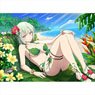 [Shinovi Master Senran Kagura New Link] B2 Tapestry (Naraku / Swimwear 2019) (Anime Toy)