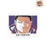 The New Prince of Tennis Kei Tanishi Ani-Art Clear File (Anime Toy)