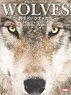 世界のオオカミ写真集 野生のハンターたち (画集・設定資料集)