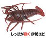 R/C Spiny Lobster (RC Model)