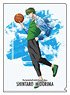 Kuroko`s Basketball Clear File (D Shintaro Midorima ) (Anime Toy)
